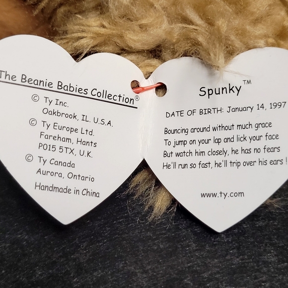 TY Beanie Babies Spunky The Cocker Spaniel - Picture 10 of 10